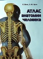 Атлас анатомии человека
