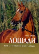 Лошади. Незаменимый справочник для каждого, кто любит лошадей