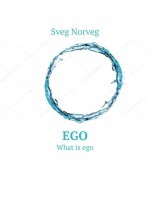 Ego. What is ego