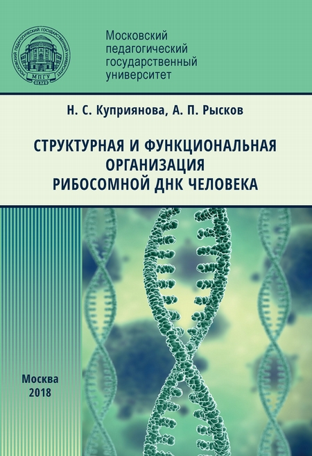 Структурная и функциональная организация рибосомной ДНК человека