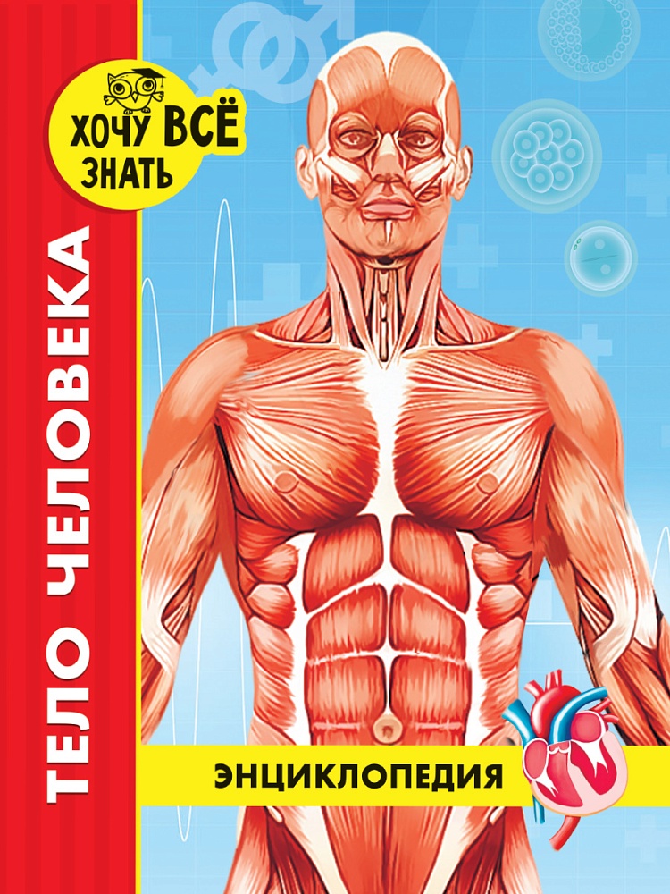ЭНЦИКЛОПЕДИЯ. ХОЧУ ВСЁ ЗНАТЬ. красная. ТЕЛО ЧЕЛОВЕКА