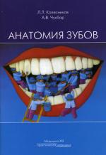 Анатомия зубов. 2-е изд., испр. и доп