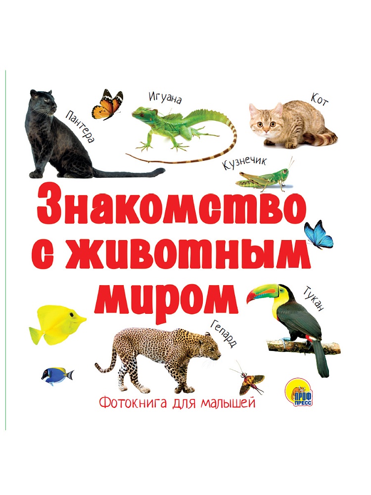 ЦК 196х196 ЗНАКОМСТВО С ЖИВОТНЫМ МИРОМ