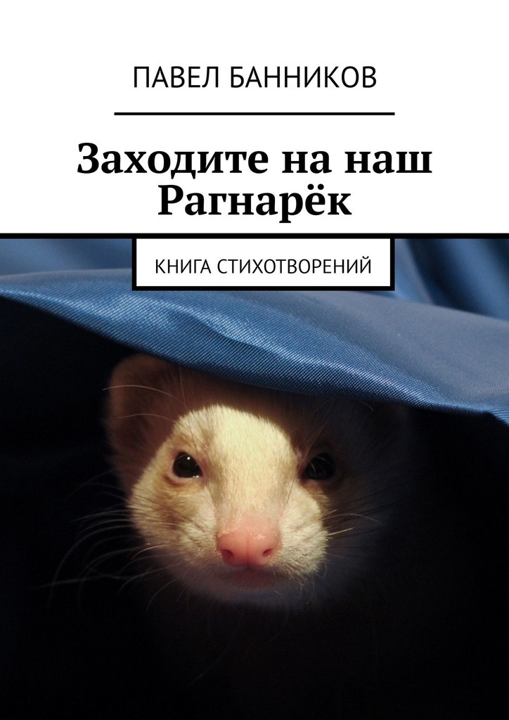 Заходите на наш Рагнарёк. Книга стихотворений
