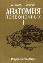 Анатомия позвоночных в 2-х томах