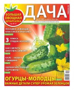 Дача Pressa.ru 08-2019