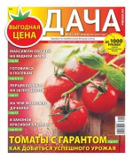 Дача Pressa.ru 04-2019