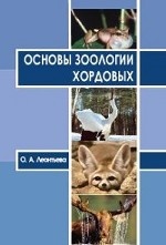 Основы зоологии хордовых. Учебное пособие