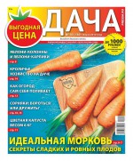 Дача Pressa.ru 10-2019