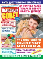 Народный совет №17/2019