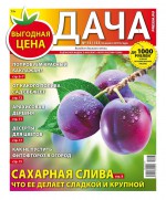 Дача Pressa.ru 13-2019