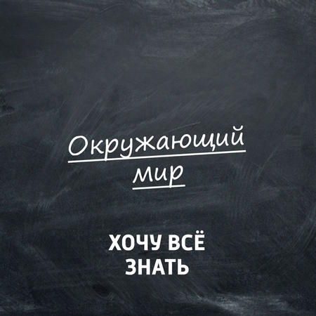 Окружающий мир естествоиспытателя. Углич: традиции, быт и нравы