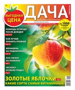 Дача Pressa.ru 16-2019