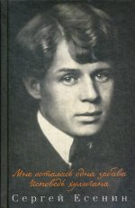 Мне осталась одна забава. Исповедь хулигана