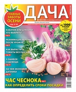 Дача Pressa.ru 18-2019