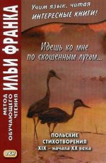 Идешь ко мне по скошенным лугам... Польские стихотворения XIX - начала XX века