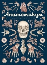 Анатомикум. Энциклопедия для детей