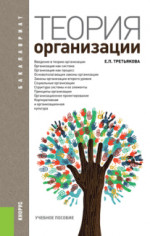 Теория организации. (Бакалавриат). Учебное пособие