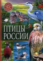 ПДЭ. Птицы России