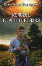 Елизавета Дворецкая: Колодец старого волхва