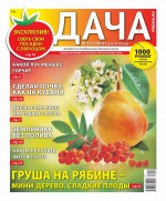Дача Pressa.ru 10-2018