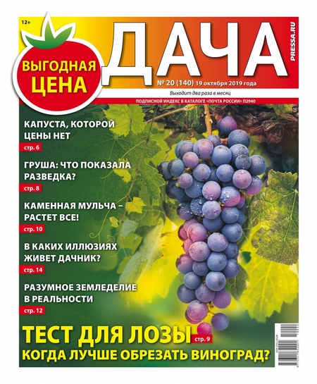 Дача Pressa.ru 20-2019