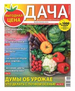 Дача Pressa.ru 21-2019