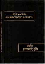 Дравьясанграха-вритти. (Памятники письменности Востока. CLIII)