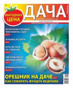 Дача Pressa.ru 23-2019