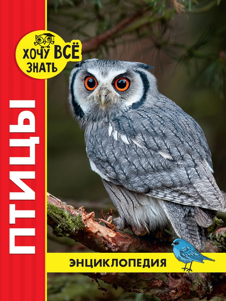 ЭНЦИКЛОПЕДИЯ. ХОЧУ ВСЁ ЗНАТЬ. красная. ПТИЦЫ