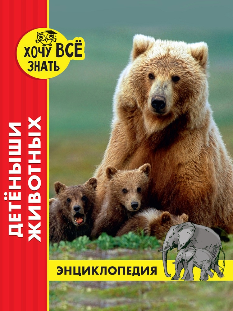 ЭНЦИКЛОПЕДИЯ. ХОЧУ ВСЁ ЗНАТЬ. красная. ДЕТЁНЫШИ ЖИВОТНЫХ