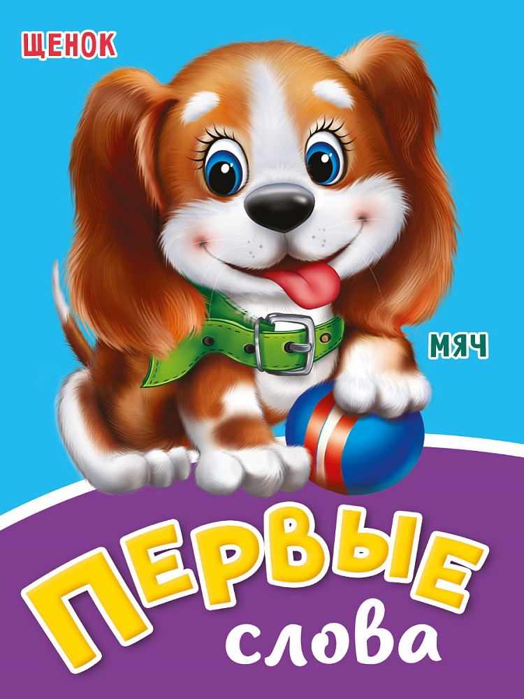 ЦК МИНИ. ПЕРВЫЕ СЛОВА