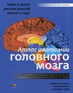 Атлас анатомии головного мозга