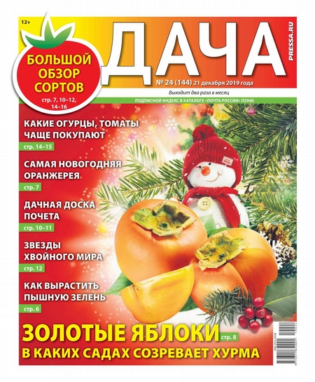 Дача Pressa.ru 24-2019