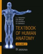 Textbook of Human Anatomy. In 3 vol. Vol. 2. Splanchnology and cardiovascular system / L. L. Kolesnikov, D. B. Nikitiuk, S. V. Klochkova, I. G. Stelnikova. — М. : GEOTAR-Media, 2018. — 320 p