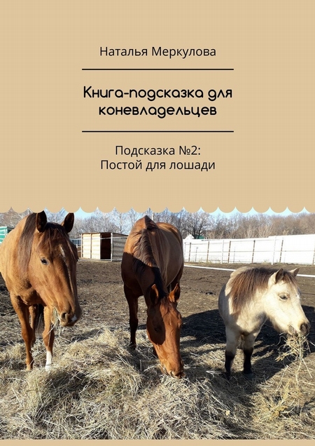 Книга-подсказка для коневладельцев. Подсказка №2: Постой для лошади