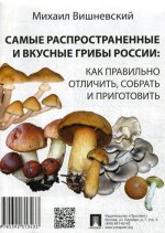 Самые распространенные и вкусные грибы России