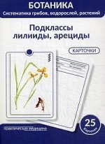 Ботаника. Систематика грибов, водорослей, растений. Блок 5: Подклассы лилииды, арециды. 25 гербарных карточки
