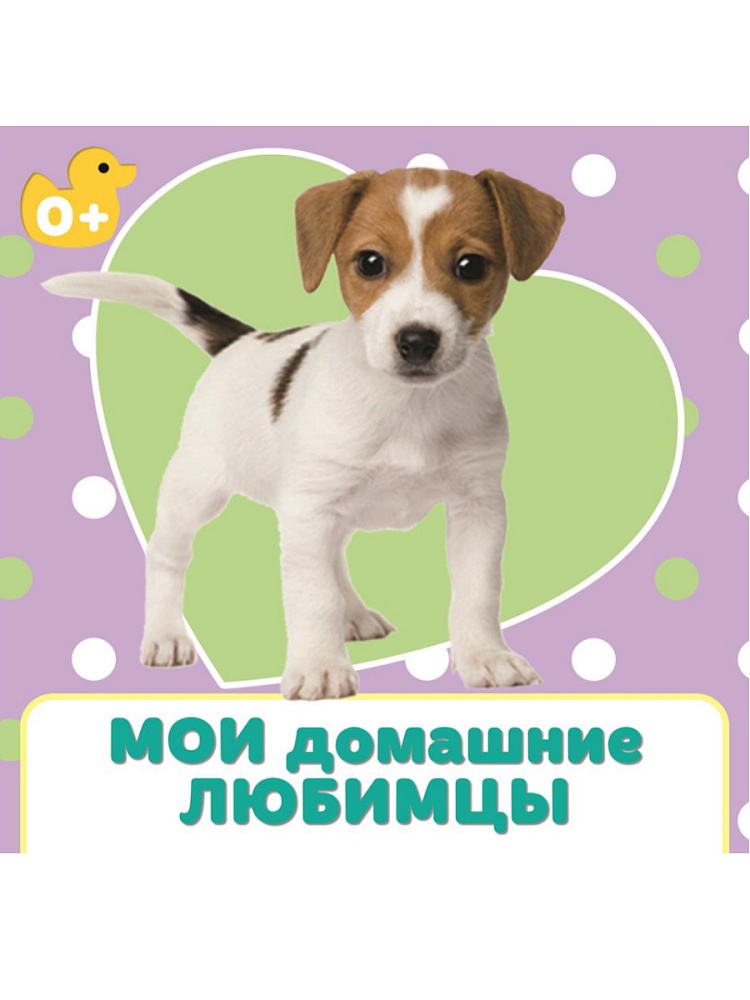 ЦК 145х145. МОИ ДОМАШНИЕ ЛЮБИМЦЫ