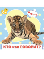 ЦК 145х145. КТО КАК ГОВОРИТ?