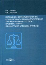 Помещение несовершеннолетнего в специальное учебно-воспитательное учреждение закрытого типа: проблемы теории и правоприменительной практики: монографи