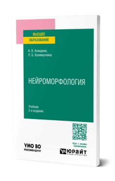 Нейроморфология