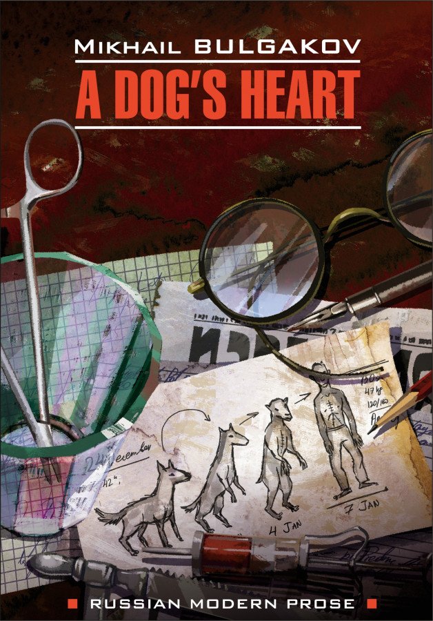 A dog's heart