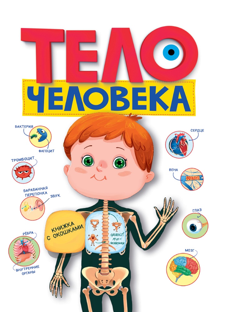 Тело человека