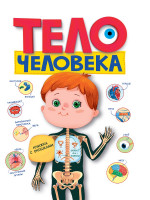 Тело человека