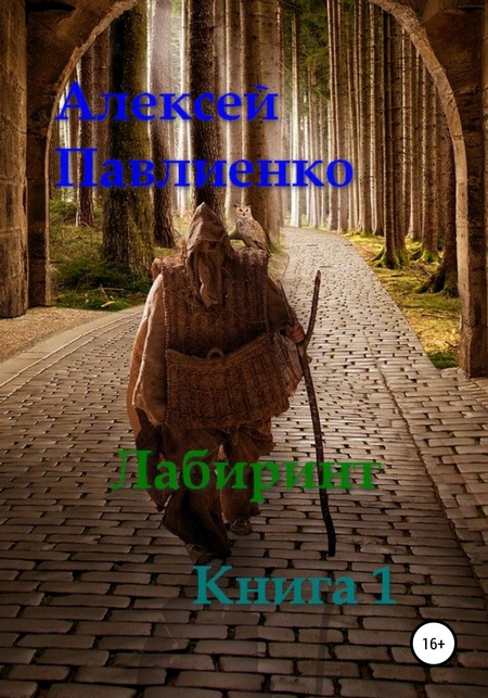 Лабиринт. Книга 1
