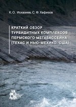 Краткий обзор турбидитных комплексов Пермского мегабассейна