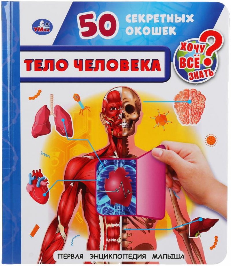 Тело человека. 50 секретных окошек. Первая энциклопедия малыша