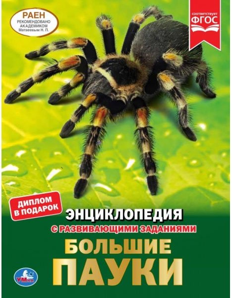 Большие пауки. Энциклопедия с развивающими заданиями