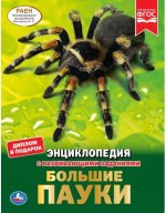 Большие пауки. Энциклопедия с развивающими заданиями